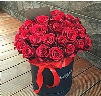 קופסה רומנטית קופסה רומנטית